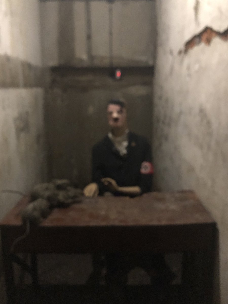 Mann mit gestorbenen Ratten (Klärung der Identität läuft) 8/9