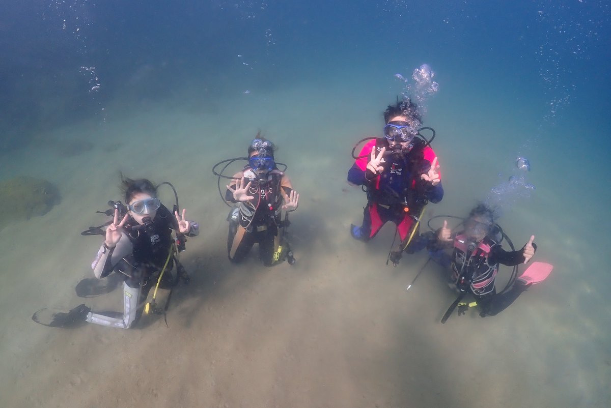 dive_kroon's tweet image. 広島修道大学ダイビングサークルさんと島根県でライセンス講習