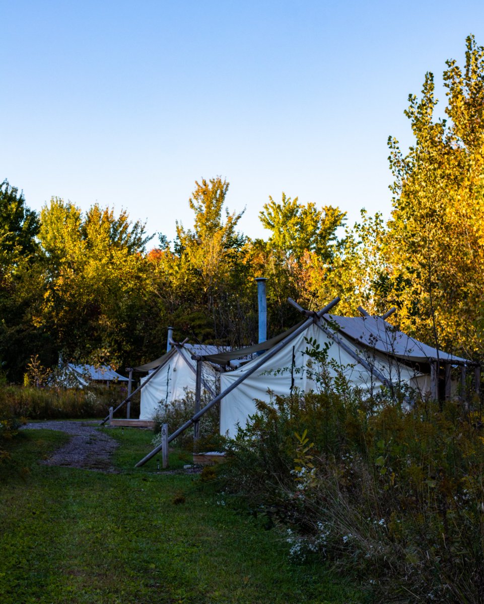 Start planning your fall trip to South Haven and get the chance to have a great experience in nature and view the fall colors. 

#fallcamping #offmapglamping #glamping #southwestmichigan #michigancamping