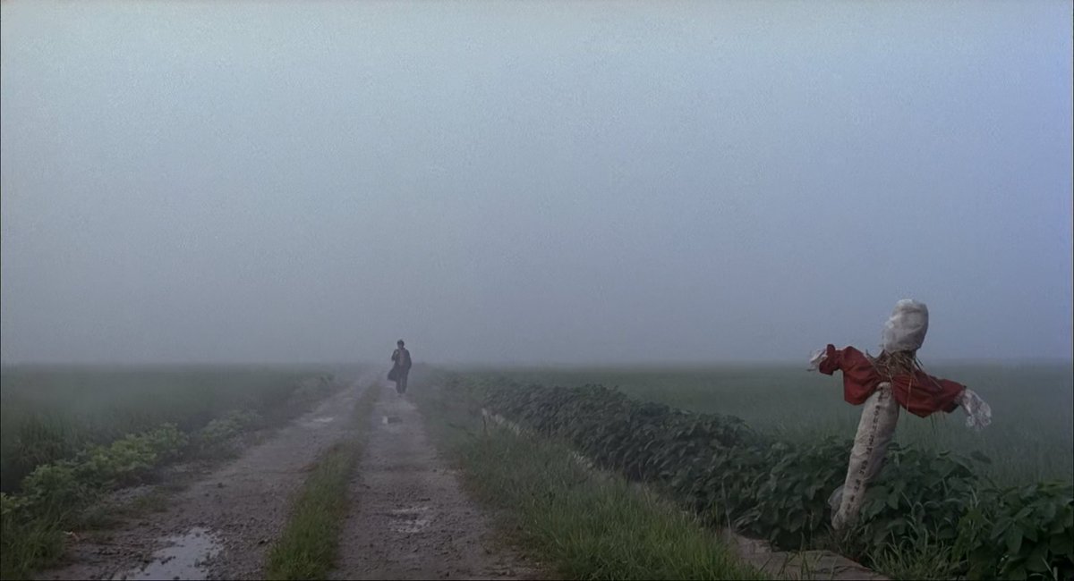 cinesthetic. tweet media