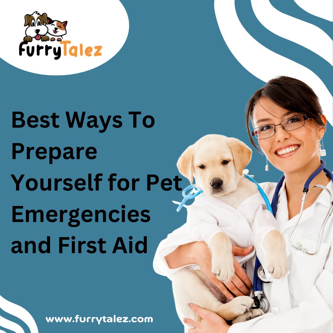 FurryTalez's tweet photo. 🐾 Be Ready for the Unexpected! 🚑 

Learn how to handle #pet emergencies like a pro! 🐶💔 

Our latest #blog covers essential first aid tips and preparedness #strategies.

Click here for details: https://t.co/Hj32QfCnjb

👉𝐅𝐨𝐥𝐥𝐨𝐰 𝐮𝐬: @FurryTalez 🔥 https://t.co/X1heCwYAca