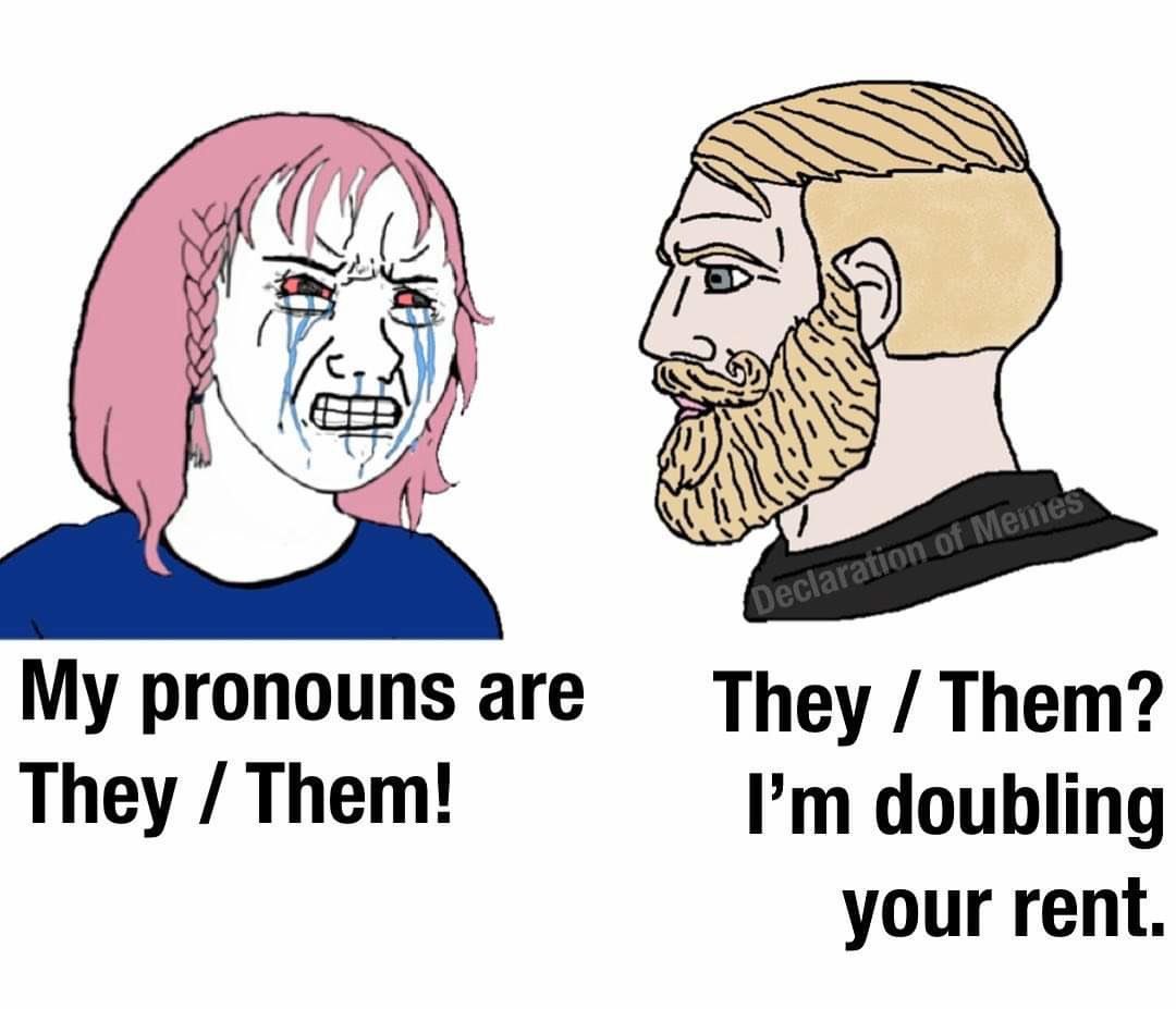 End Wokeness tweet media