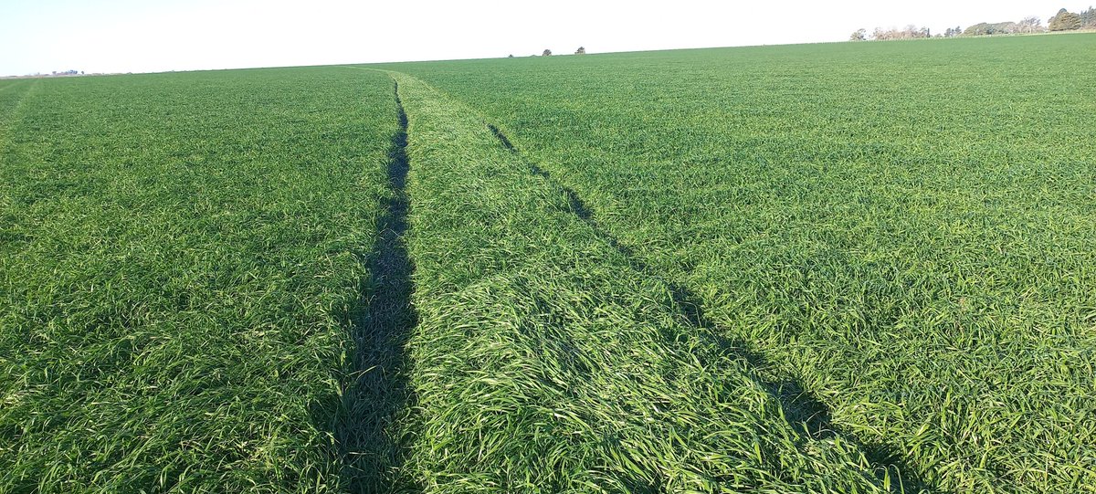 Germinar tweet media