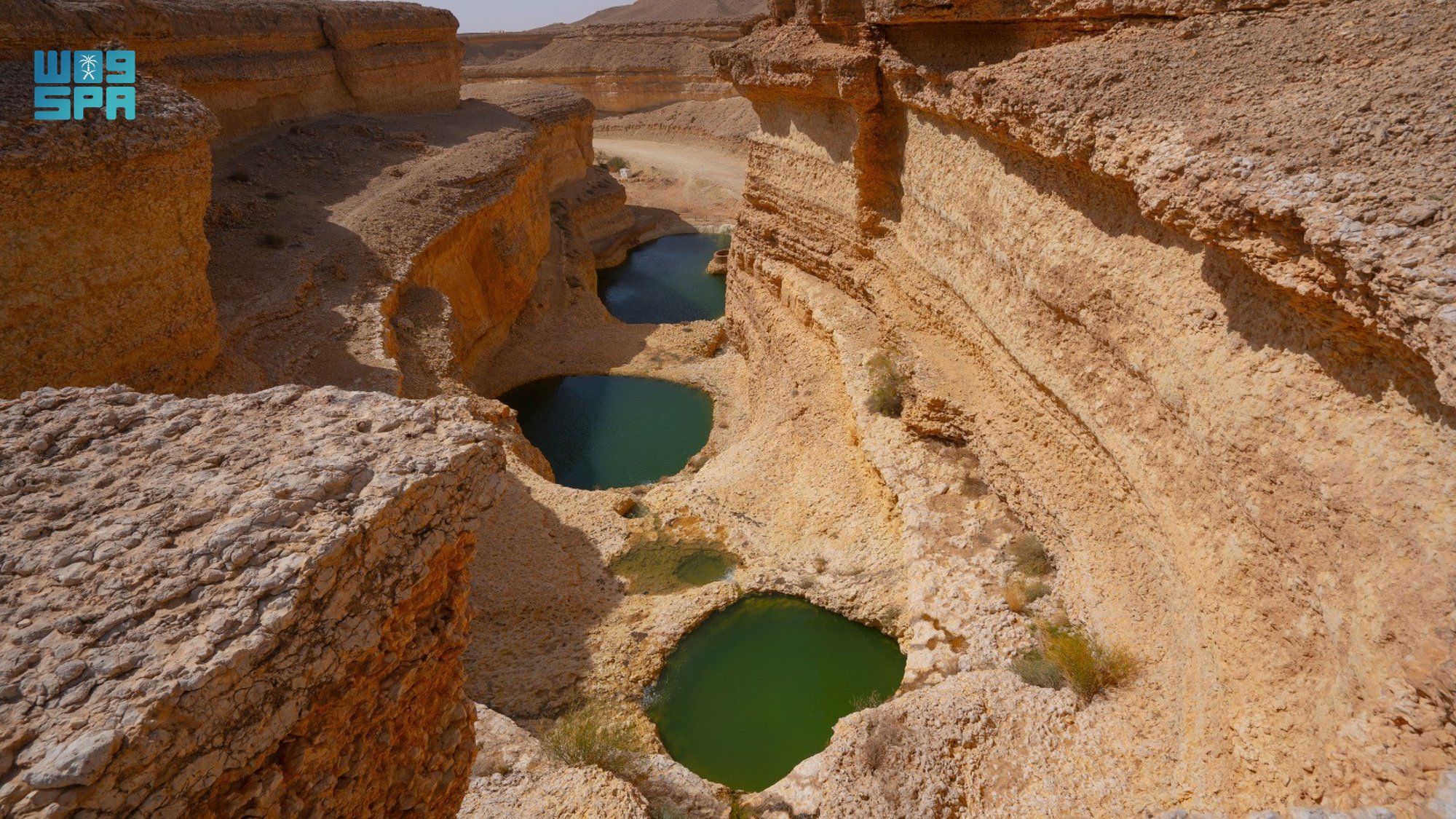 الصورة