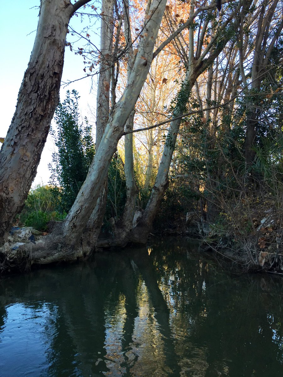 🍋<a href="/AytoMurcia/">Ayuntamiento de Murcia</a> y Junta de Hacendados se han reunido días atrás y normalizado relaciones.

Desde esta cuenta les queremos pedir🙏🏻dejar atrás entubamientos y encauzamientos y que episodios como este no vuelvan a suceder nunca más:

Encauzamiento Acequia #Benetúcer. Mar/22

Antes y⬇️