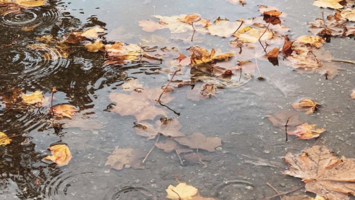 winonaddict's tweet photo. what my perfect fall day looks like https://t.co/MJJOwM55e1