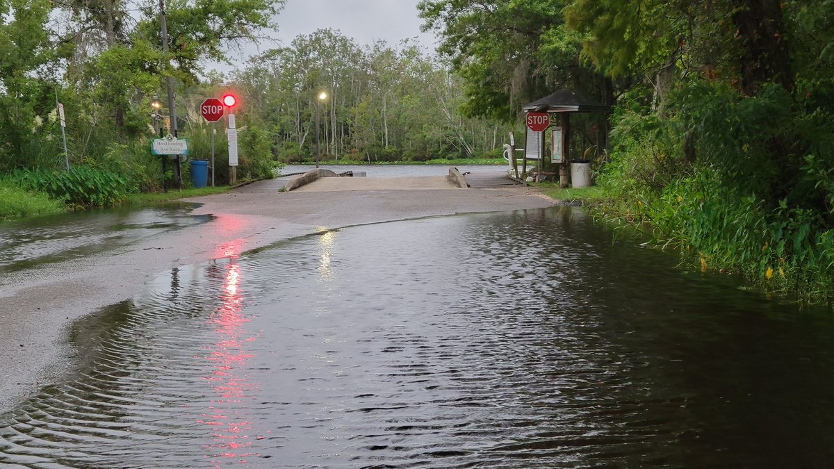 Dan Scanlan tweet media