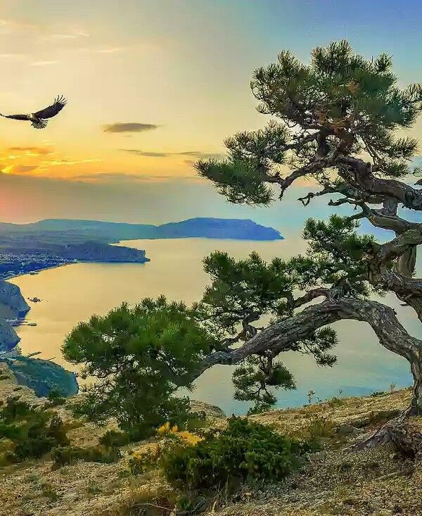 Aleksan52094351's tweet photo. Good evening 🧡 https://t.co/3V8ymI0YIY