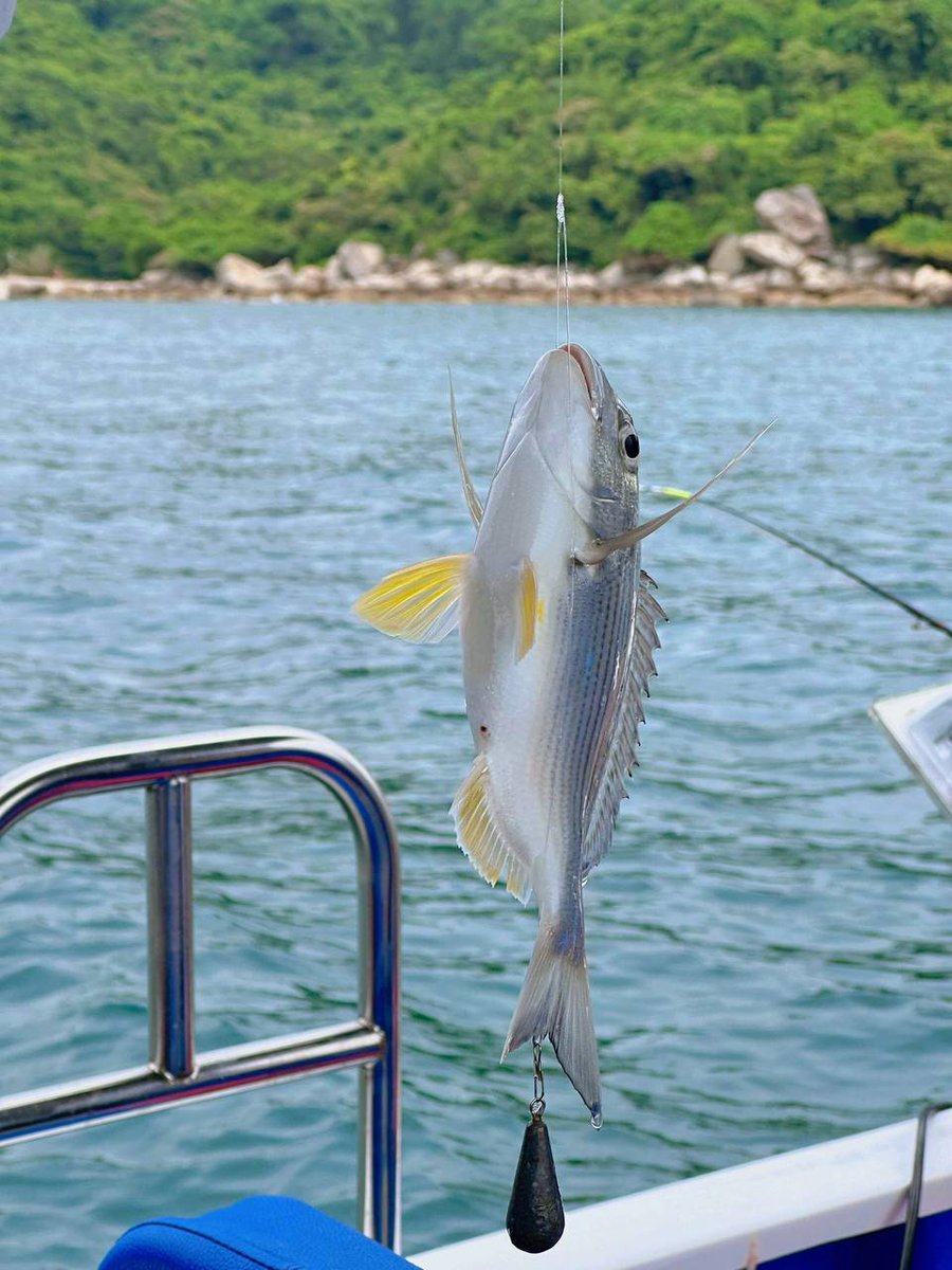 ChenHui79010's tweet photo. You can't take home the fish you want. That's the way it is in California. But I'm happy, too.π£π§
#angling #SeaFishing #BoatFishing #Grouper
#SeaFishing #Boatfishing #angling #outdoors #CaliforniaGirls #Yachts #Lujah #DailyFragments #Lifestyle #SummerEvents #Angler https://t.co/Z5Dp32RaYv