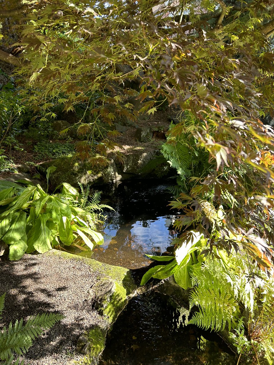 JanHAlder's tweet photo. Branklyn Garden Perth https://t.co/JKsGcVlwWS