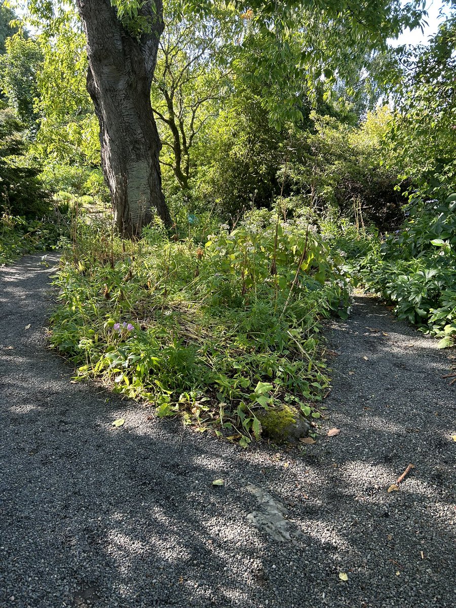 JanHAlder's tweet photo. Branklyn Garden Perth https://t.co/JKsGcVlwWS