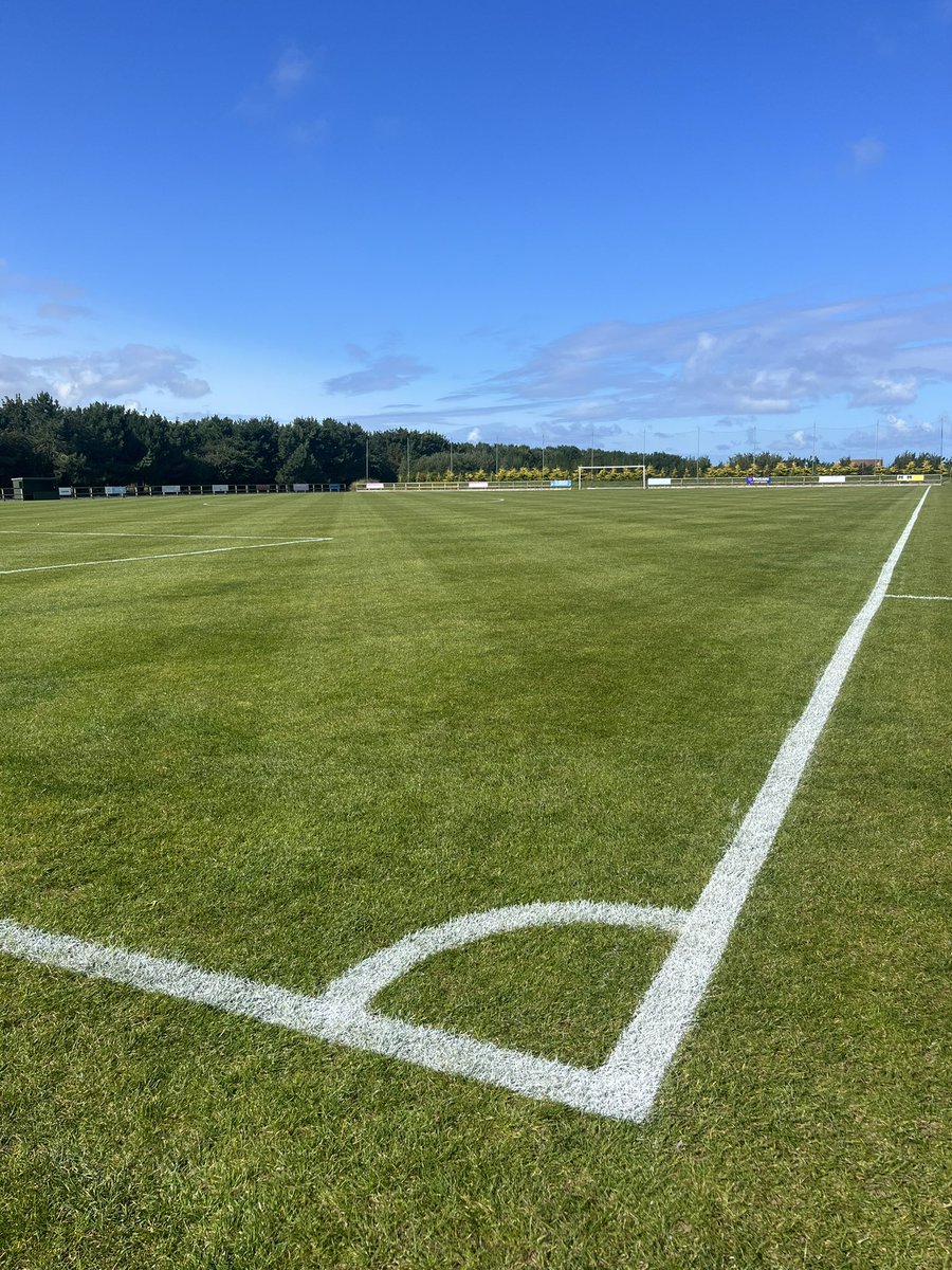 Regan Graham tweet media