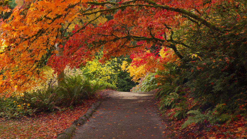 GreenFldsGeneva's tweet photo. Falling for Fall in Geneva!

To read about some fall festivities and activities in Geneva and surrounding areas, click here: https://t.co/OCr6PPQB9l https://t.co/Jv1iDlkCYn