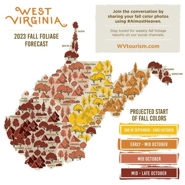 MarionCVB's tweet photo. We're getting pretty excited about the change! 🍂Hope to see you in Marion in mid-October! 

#mymarionwv #fall #autumn #leafpeeping #optoutside #Explore304 https://t.co/1kTvUPgRrr