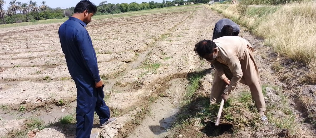 naveed_katohar's tweet photo. 30/08/2023
Monitoring of Experimental plot of different types of fruit trees in #Surface_soil, #Sub_surface, #Pots & #Mulching method, under Salinity & water controlled.
@Manzoor92131601 @JabbaSoilLabs @ModernAgUpdates @FAO @FatehMari @BBhuttoZardari @EngrSaeedAhmed8 https://t.co/tuuFIpwEyY