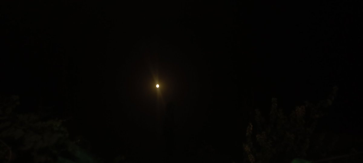 ali_Talagang's tweet photo. Talagang,  Punjab :- Super blue moon lights up the sky. 
#Talagang #BlueMoon https://t.co/2OJQL8PqJ2