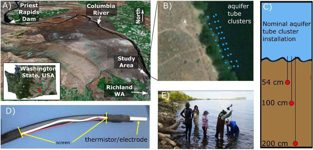 ScheibeTim's tweet photo. To study both the physical and biogeochemical responses of the groundwater/surface water interaction zone to stage dynamics, a comprehensive array of 66 aquifer tubes was installed... Read more: https://t.co/MLFJoNNL7z #WatershedWednesday @PNNLab @ENERGY https://t.co/qykTl7kPew