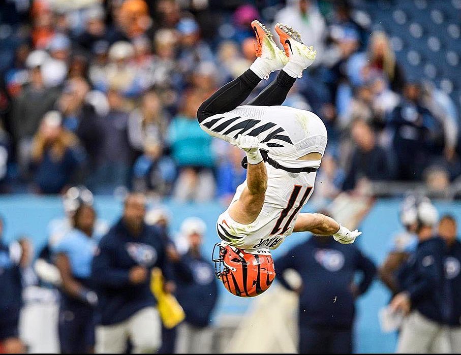 Trent Taylor tweet media