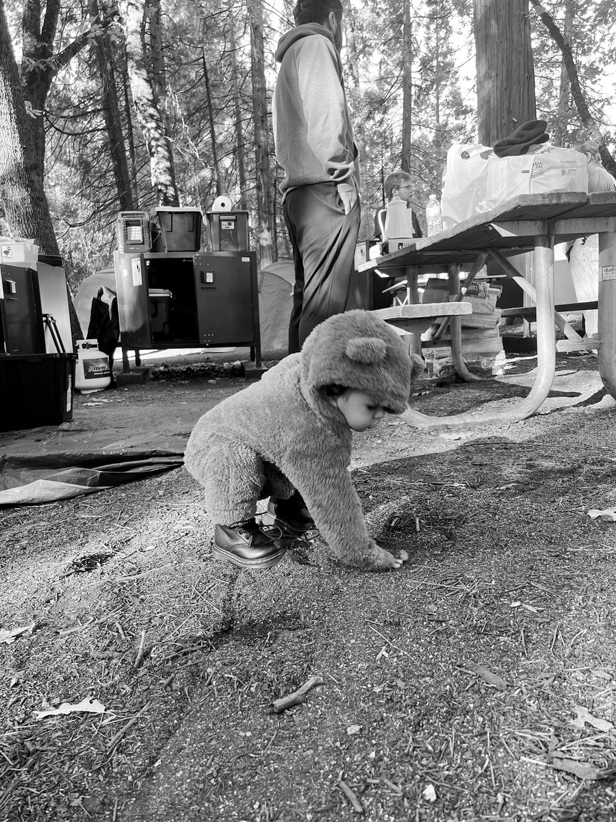 wordsofashley's tweet image. In his happy place