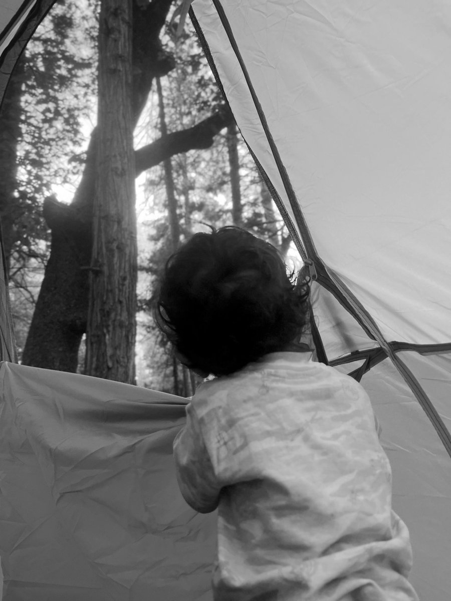 wordsofashley's tweet image. In his happy place