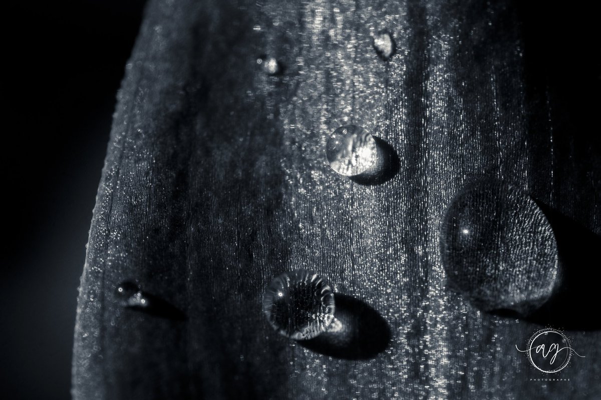 Phot_Aurelien tweet media