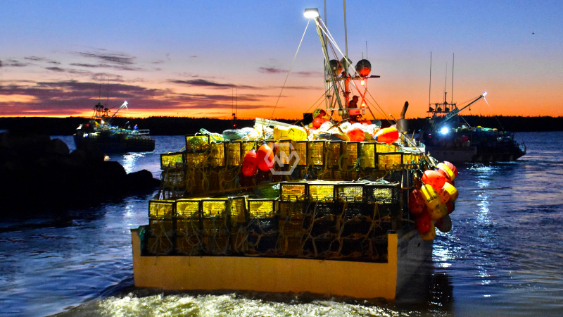 Jhonjournalist's tweet photo. Southwest Nova Scotians are increasingly frustrated with illegal lobster fishing
Learn More: https://t.co/2jIloQ6fjS
#CanadaNews #FishingFishingNews #Southwest #increasingly #frustrated @jatara @RePlanetAus @DITOGAMESch @jamiefahey1 @PodeynForAZ https://t.co/rLwAeWmRJF