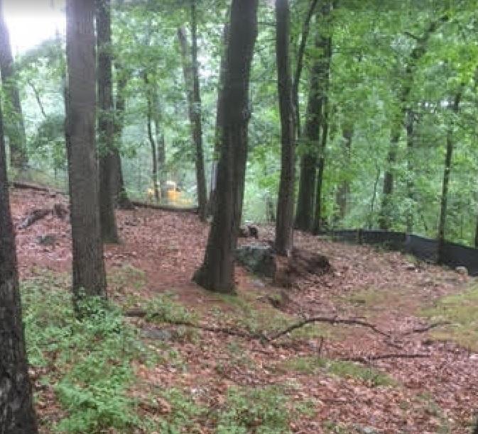 ActivAlewife's tweet photo. The NEMT forest tree cutting has started @nemtforest @KateforRep @kehoeJP https://t.co/AZAN25WAWH