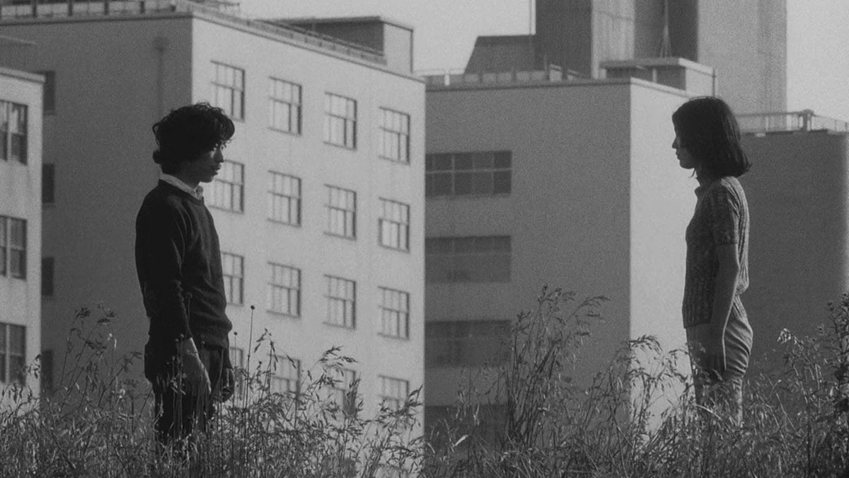 duodepassionnes's tweet photo. The man who left his will on film, Nagisa Ōshima (1970)

Toute une vie c’est pas assez pour exprimer mon amour pour le cinéma japonais sincèrement. C’est sublime rien n’est aussi beau et parfait que ��a sincèrement. Obakeiu https://t.co/OeEAwdFoDE