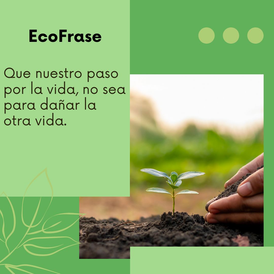 coahuila_verde's tweet photo. 📷La naturaleza no es un sitio al que vas de visita, es un hogar.📷
#PVEM #Coahuila #EcoFrase #MedioAmbiente https://t.co/aIYjuIzzHs