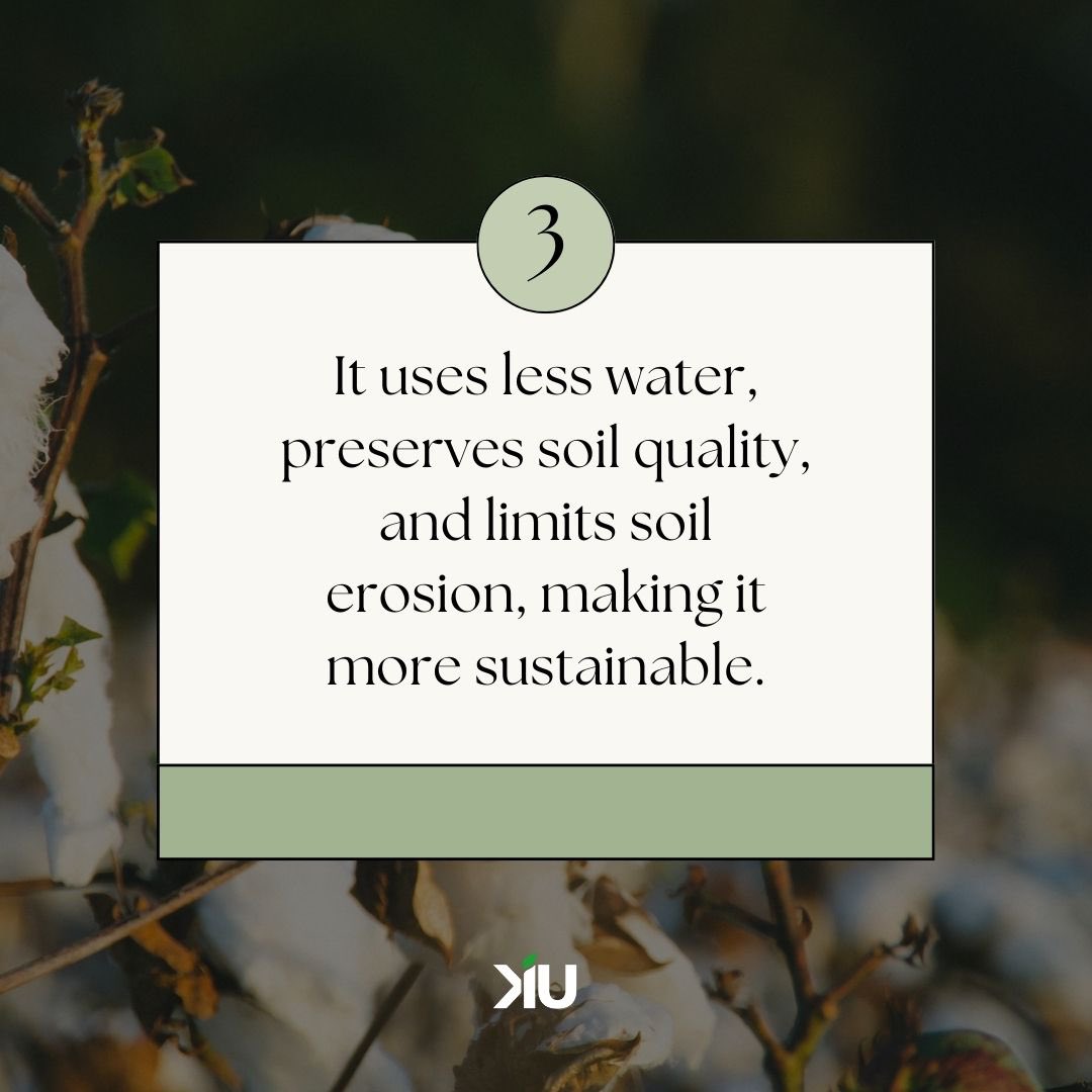 KIU Canada (@kiucanada) on Twitter photo 