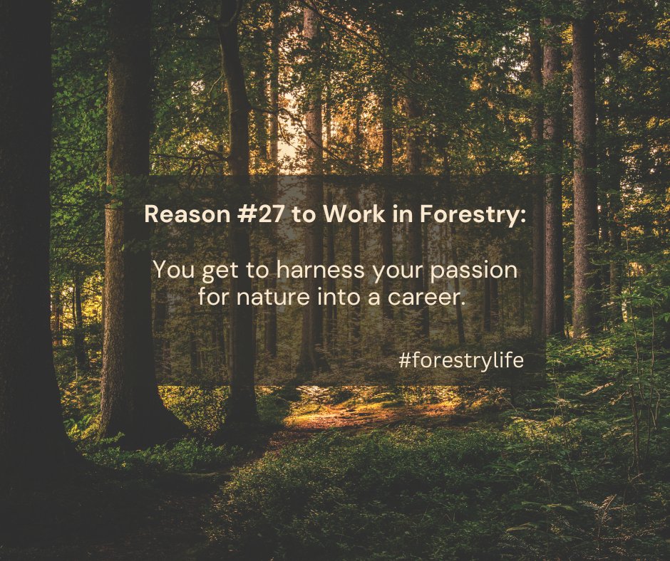 WAWorkingForest's tweet photo. Forestry sector workers appreciate nature. They recognize the importance of land stewardship & sustainable forest practices while providing environmentally friendly wood products for the betterment of society. #workingforests #workforcewednesday #forestryjobs #forestrylife https://t.co/n8sme7jFb7