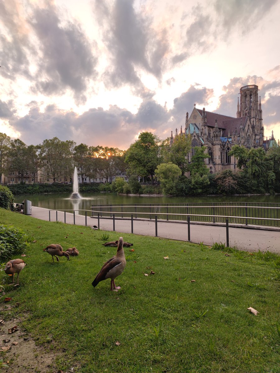 Kessel.TV tweet media