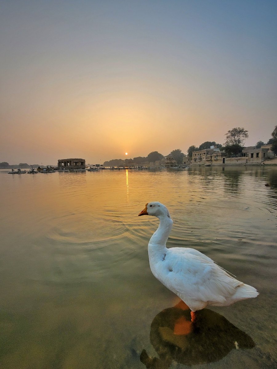 ItarunkumarP's tweet photo. 'Widdangle Photography With Smartphone'
when using a wide-angle lens to create a sense of vast space is to place some objects closer to the camera so that the negative space contributes to the composition.
#LearnWithsnapdragon 
#ShotOnSnapdragon #withGalaxy https://t.co/GRypW83Qkb
