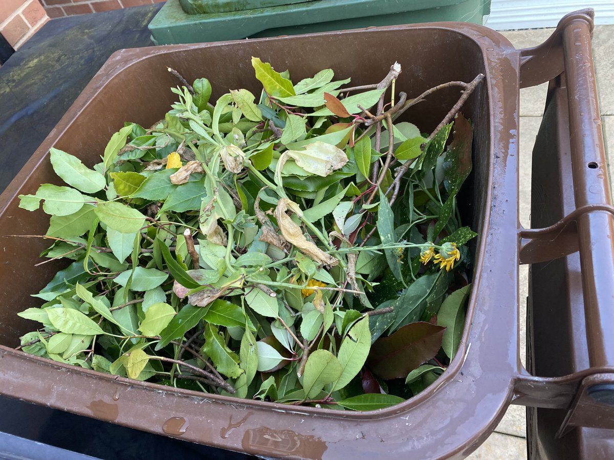 Day 30 #AHPsActive #WeActiveChallenge I now have a clean house and a tidy garden
