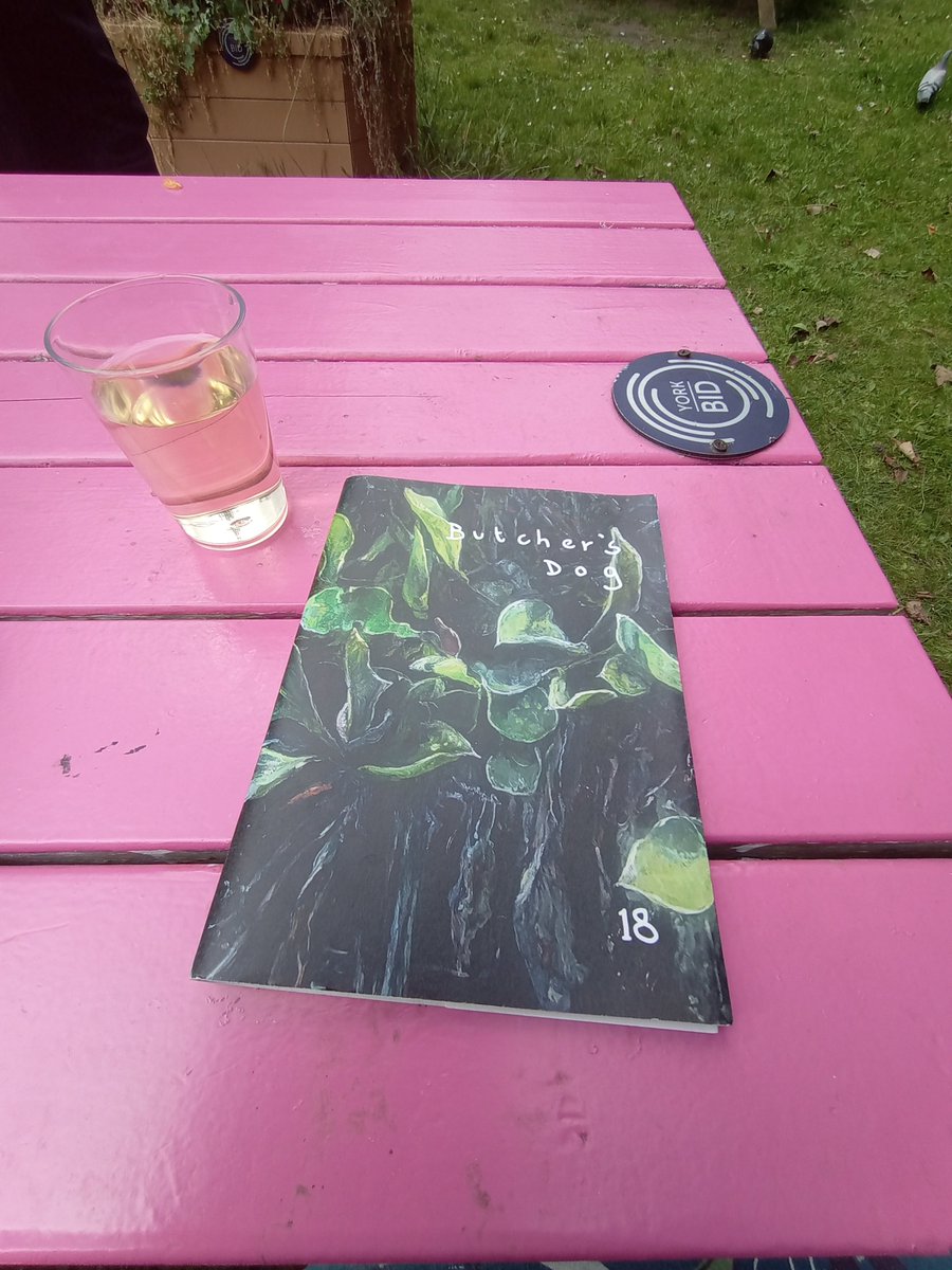 Picnicing with the 🐕 in York <a href="/ButchersDogMag/">Butcher's Dog Publishing</a> cover Judith Tucker