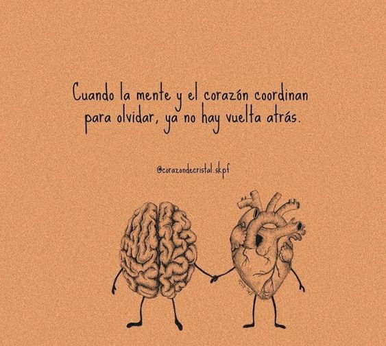 Mercedes Jimenez (@mercedesjimen0) on Twitter photo 