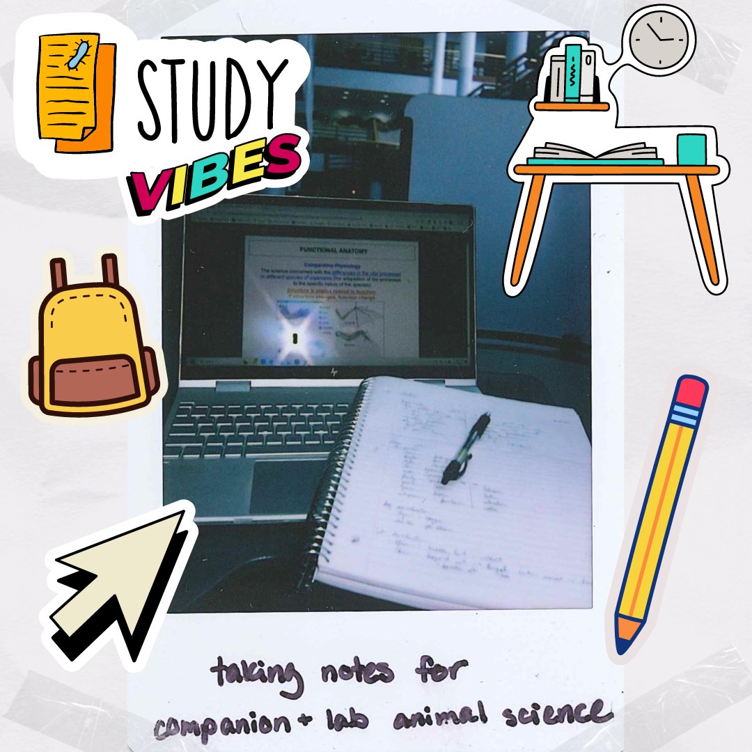 VTCals's tweet photo. Want to know what the first weeks of classes look like for #VTCALS students? @vtbiochem major Katelyn Domke has jumped right into life on campus and is enjoying studying, working in the lab, or participating in the wildlife disease club! #iamVTCALS #VTCALSambassadors #Hokies https://t.co/WRfy8w5oeE