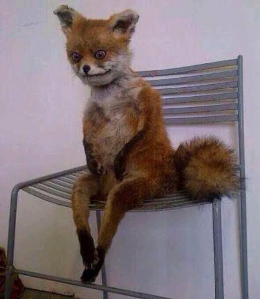 · ᴀʀɪᴀᴅɴᴀ · tweet media