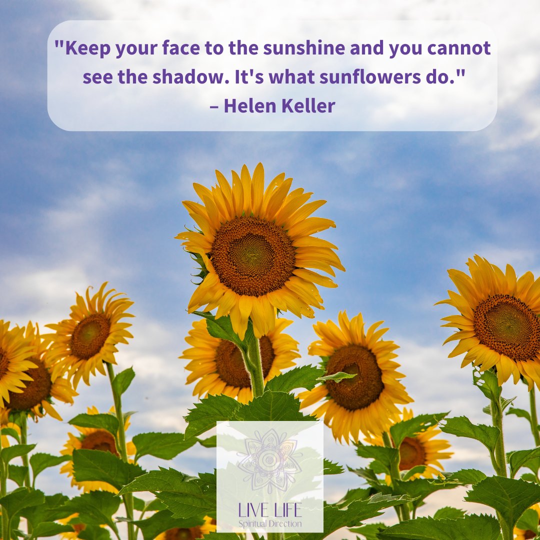 #sunflowerseason #sunshine #lawofattractioncoach #sunflowers #spiritguide #shiftmindset #manifestlife #standinyourpower #spiritualgrowthjourney #consciousentrepreneur #overcomingfear #abundantmindset #takeyourpowerback #lawofattractionspecialist #findingyourfearless