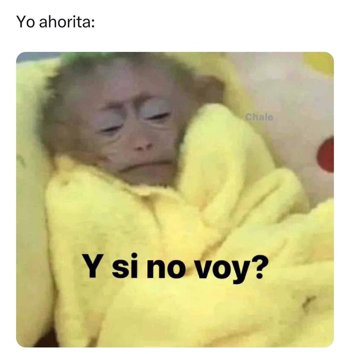 CosasdeTlaxcala's tweet photo. https://t.co/qnobr6vmA0