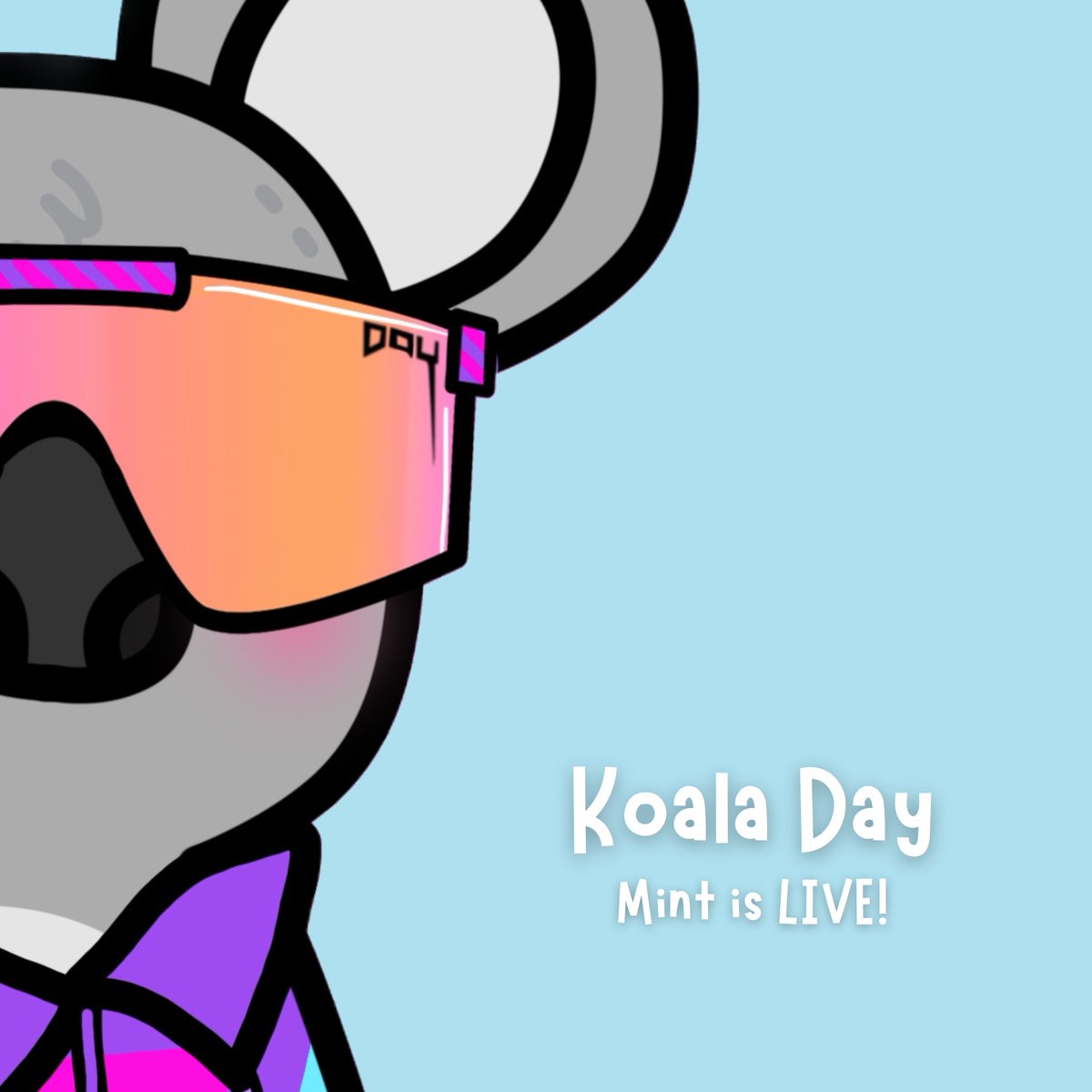 There's no better way to celebrate Hump Day than with a new Koala 🐨💕