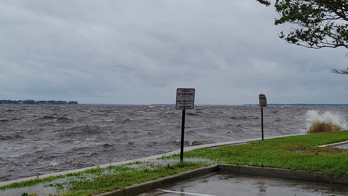 Dan Scanlan tweet media