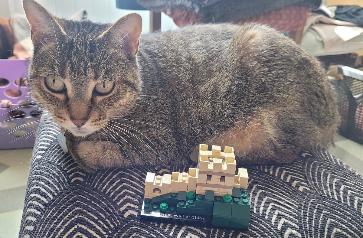 NaMinday's tweet photo. James assistant en création lego nous présente sa première œuvre ! https://t.co/cKdwBtab2D