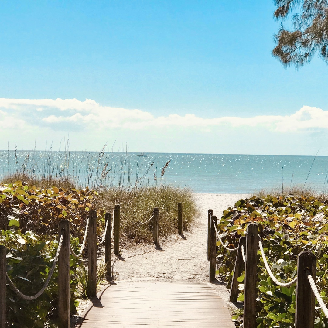 Join the movement of coastal stewards making a positive impact by showing your love for the sea. For example:

🏖️ Plan a #BeachCleanup
👣 Leave no trace by leaving only footprints behind
💙 Respect wildlife
📣 Educate &amp; advocate
🛑 Refuse #SingleUsePlastics