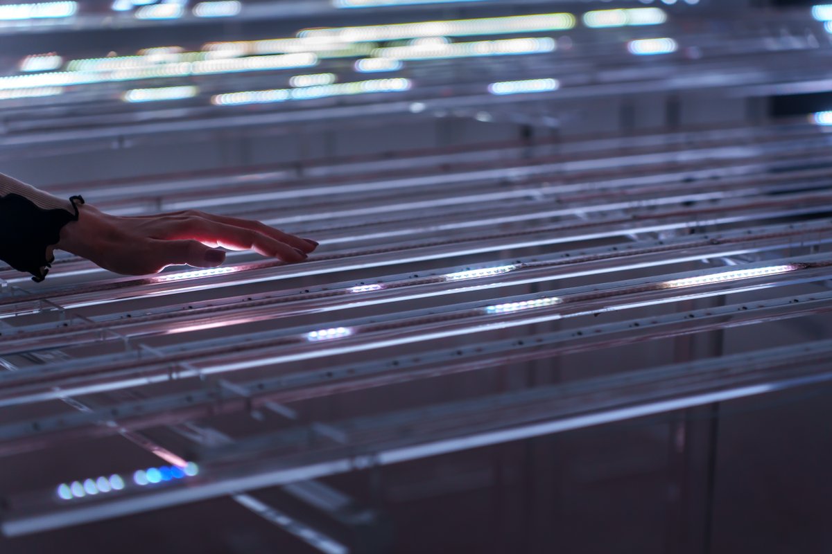 Trending Now Lighting Design tweet media