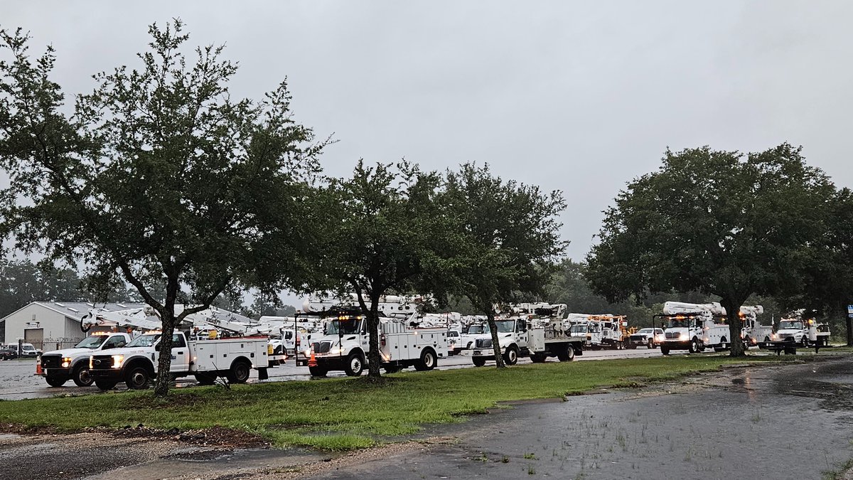 City of Tallahassee tweet media