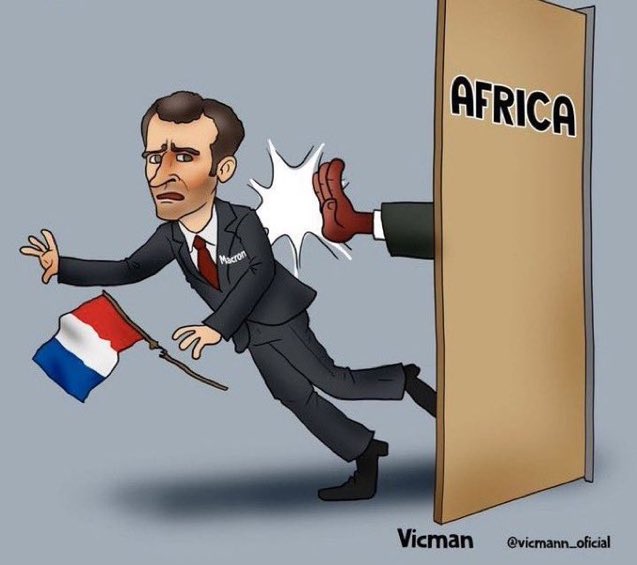 David van Hemelryck 🕊#D tweet media