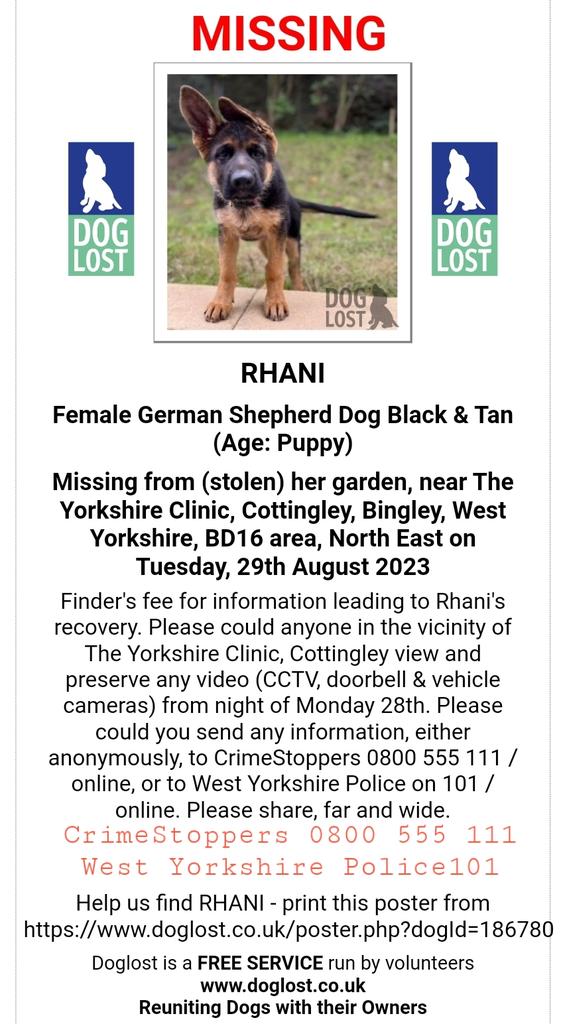 MissingPetsGB tweet picture