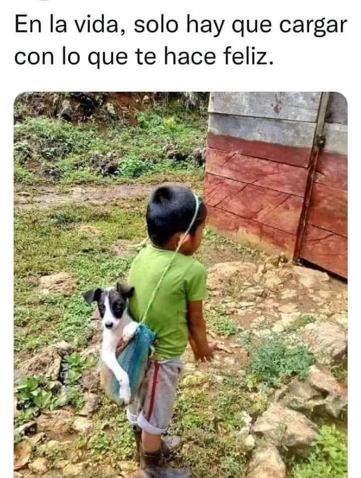 GRamirezF_D12's tweet photo. Buenos días Feliz miércoles 🐾🐶❤️ https://t.co/9LLrFaBr1A