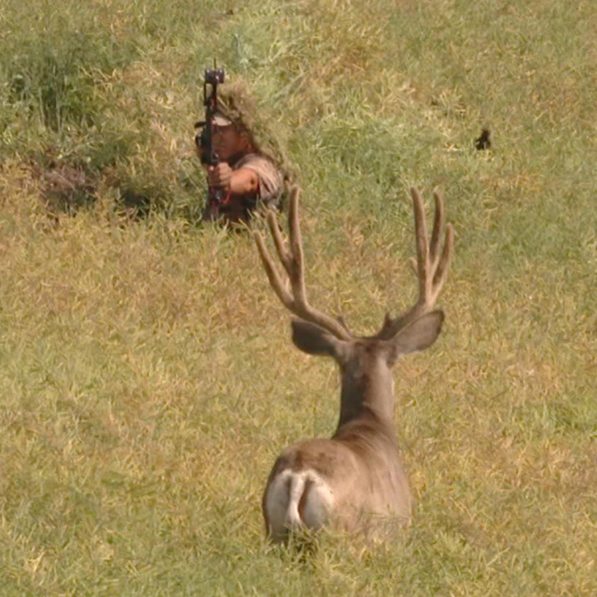 We are getting up close and personal in Alberta hunting mule deer this week! #WinchesterDeadlyPassion